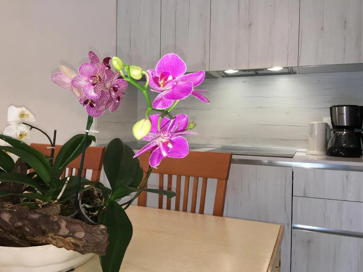 Ferienwohnung Casa Eva Bibione Apartment